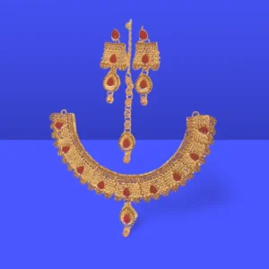 Bridal/Party Set Sikka Style 1 Set Price