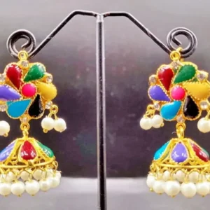 Bahawal-Puri Style Multi Color Earrings 1 Pair Price